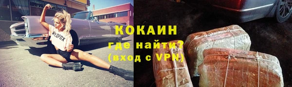 твердый Иннополис