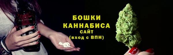 стаф Инта
