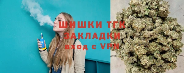 твердый Иннополис