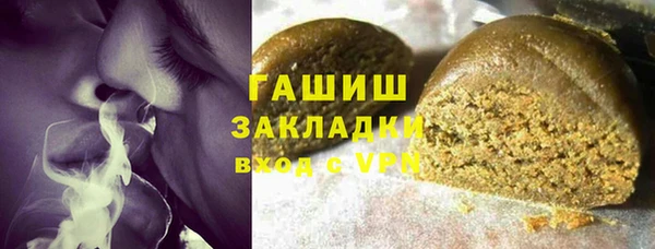 стаф Инта