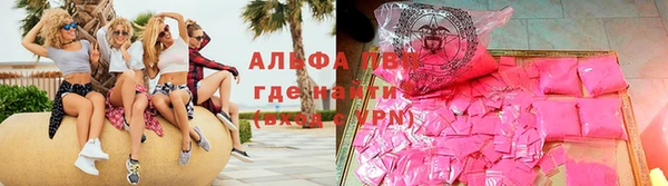 стаф Инта